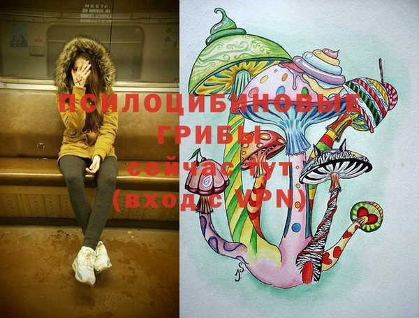 бошки Новодвинск