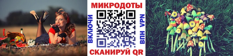 Галлюциногенные грибы Cubensis  хочу   Мосальск 